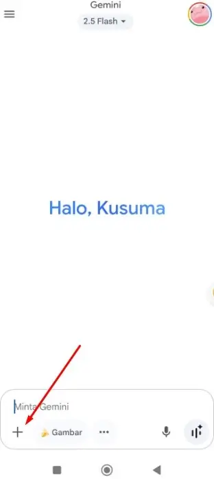 Cara Menggunakan Gemini