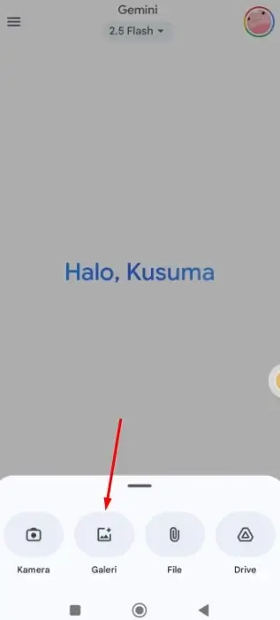 Cara Menggunakan Gemini