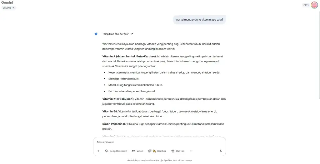 Cara Menggunakan Gemini