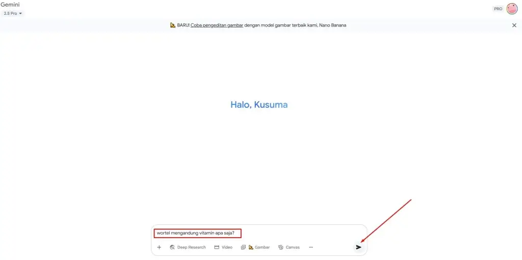 Cara Menggunakan Gemini