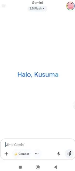Cara Menggunakan Gemini
